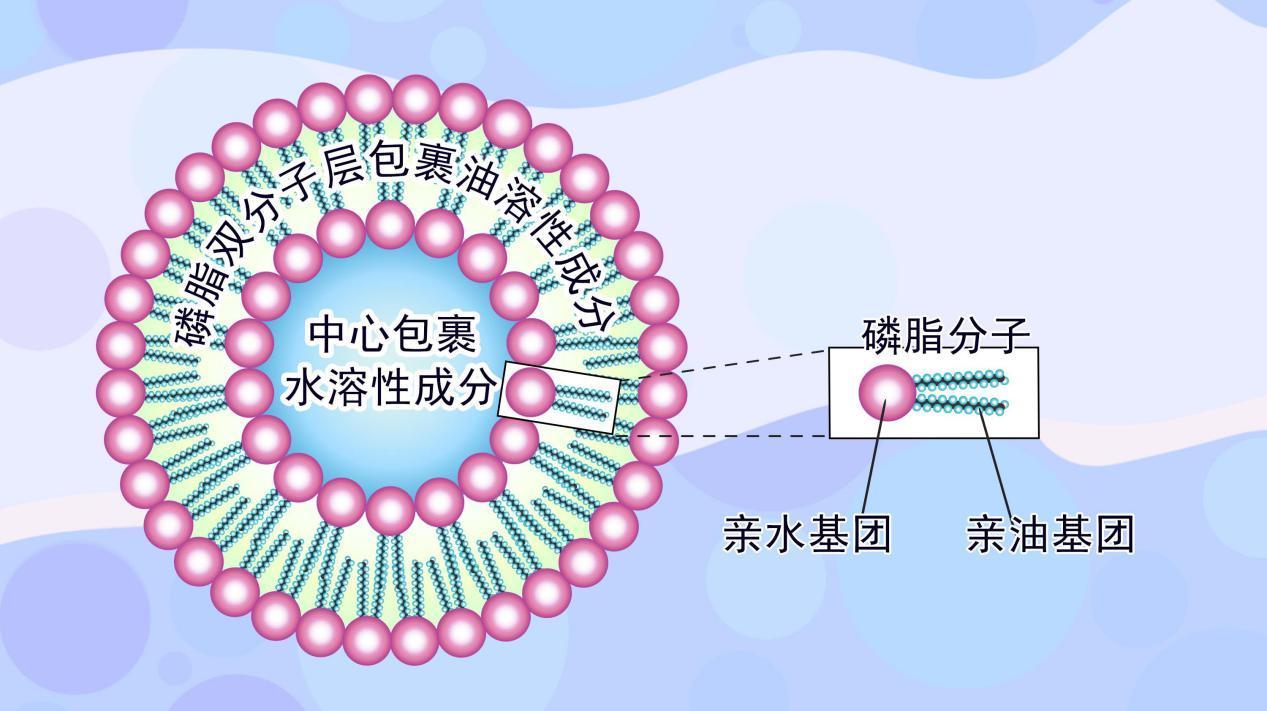 纳米制剂定制