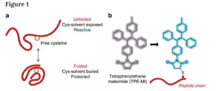 1600653912392185.png image.png