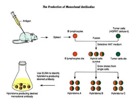 1604287947920879.png image.png