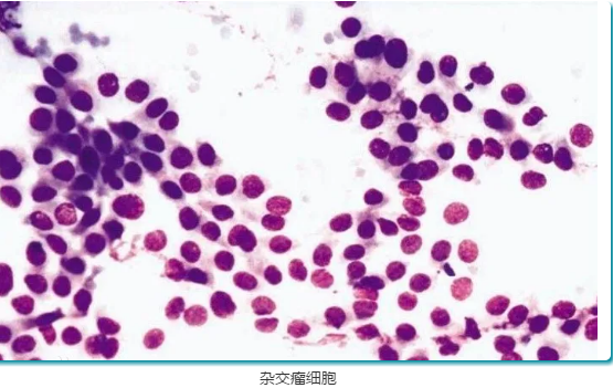 1604288025558088.png image.png