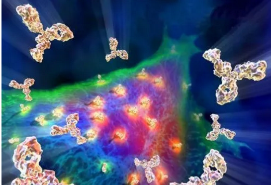 1604288066979031.png image.png