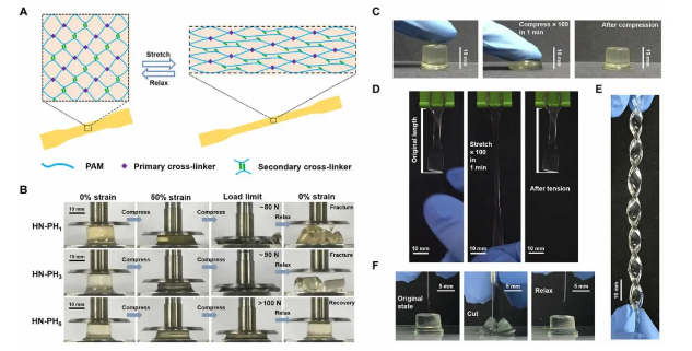 1614060231957625.png image.png