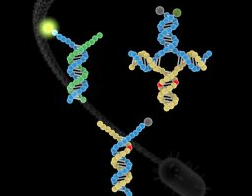 1619090514391850.png image.png