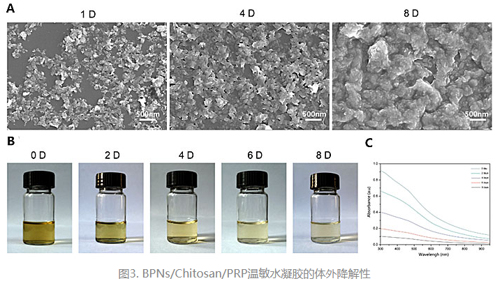 1619595172681073.png image.png