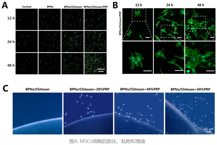 1619595199931681.png image.png