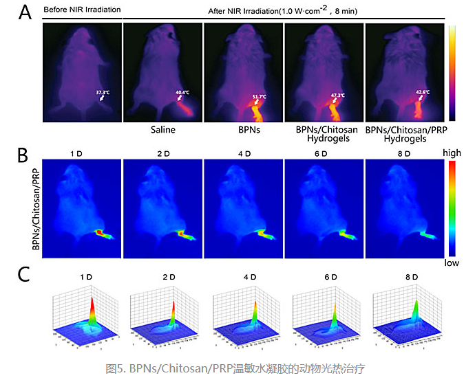 1619595219728238.png image.png