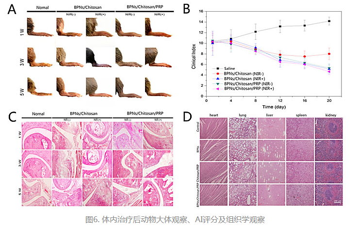 1619595239283288.png image.png