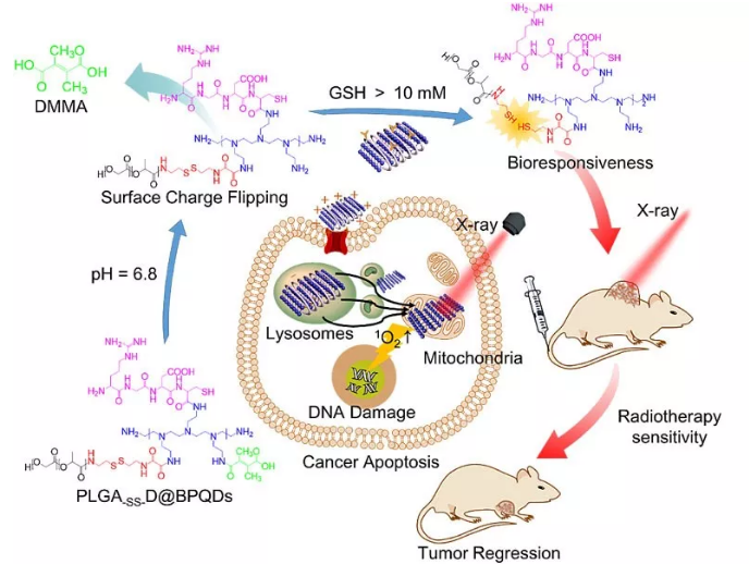 1620723060207462.png image.png