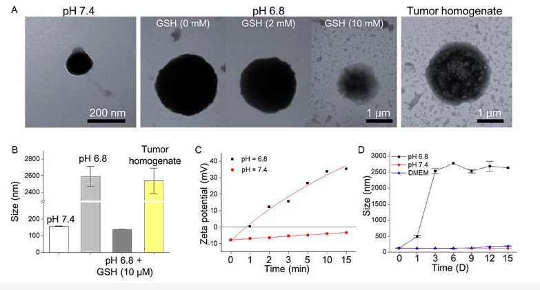 1620723118187025.png image.png