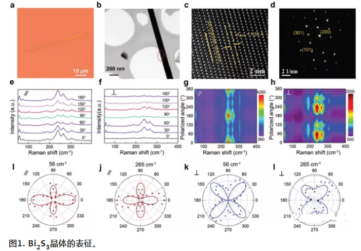 1622446631228708.png image.png