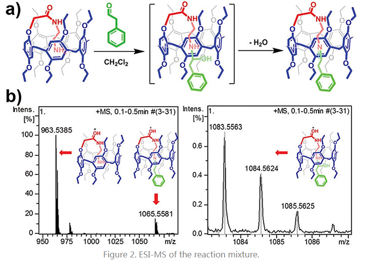 1628151464197043.png image.png